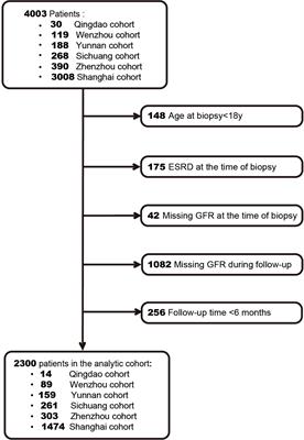 A Validation Study Comparing Risk Prediction Models of <mark class="highlighted">IgA Nephropathy</mark>